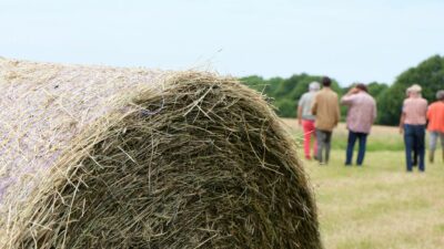 Groupe en extérieur. Paysan bio Botte de foin