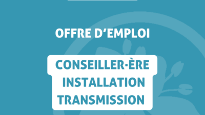 offre emploi conseil installation transmission