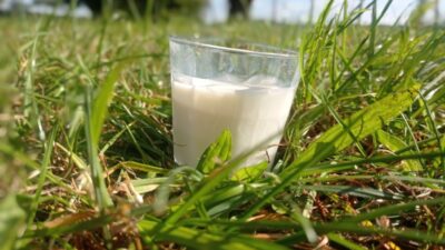 Lait GAB 44