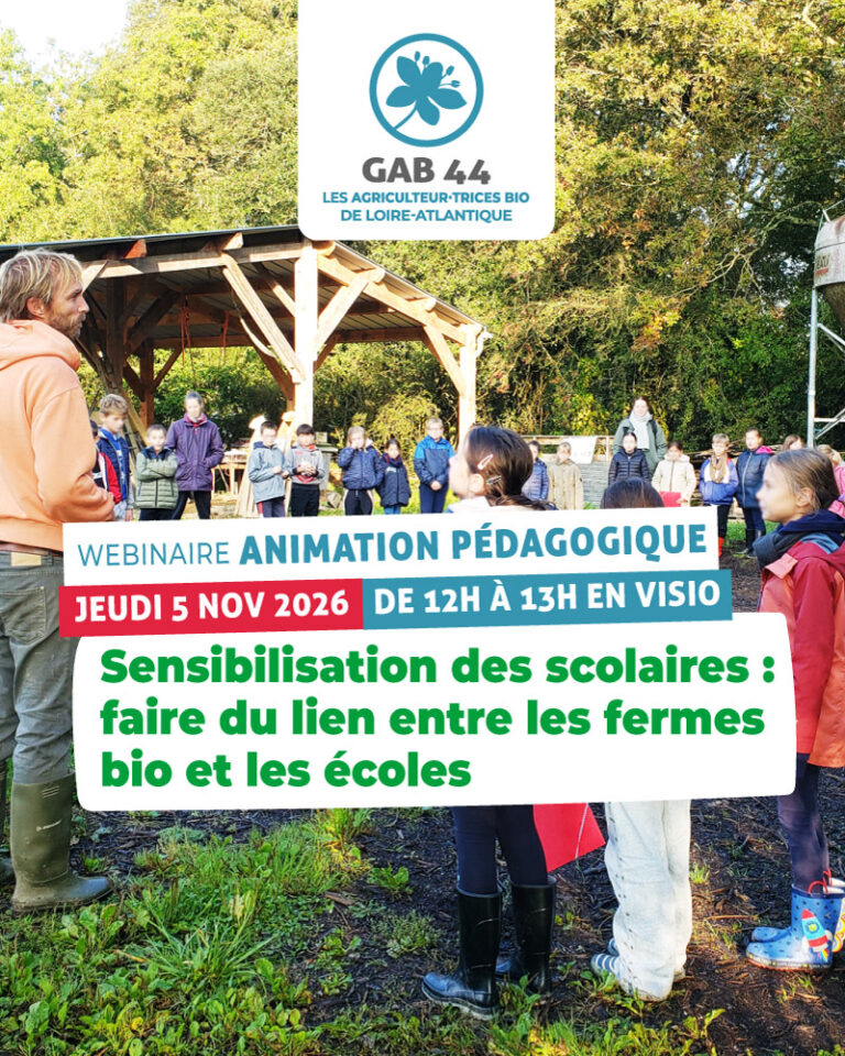 webinaire animation pedagogique
