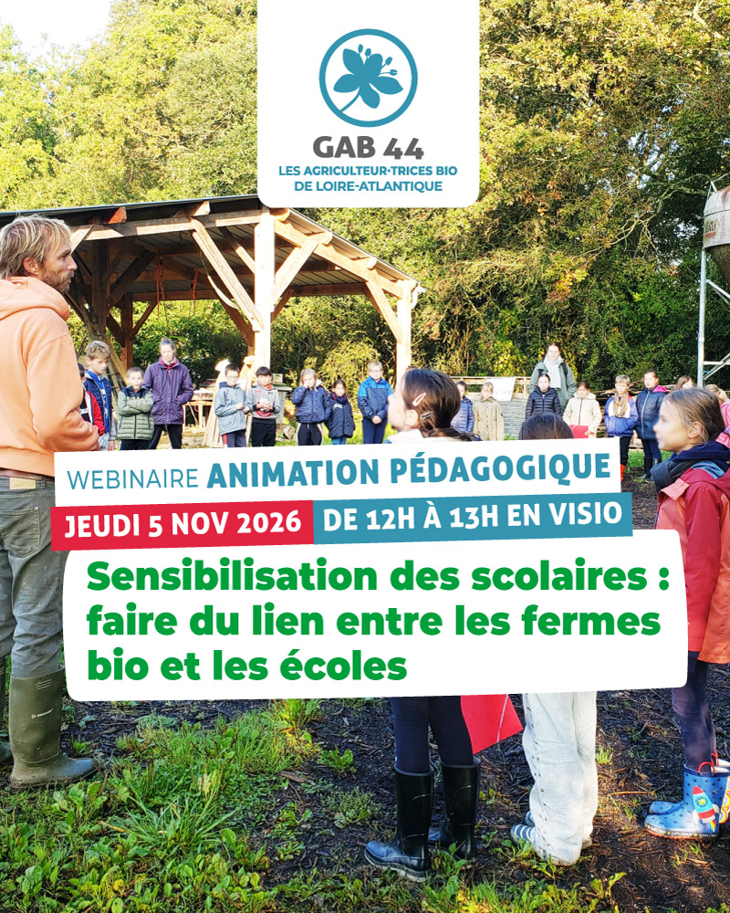 webinaire animation pedagogique