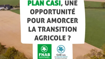 plan casi